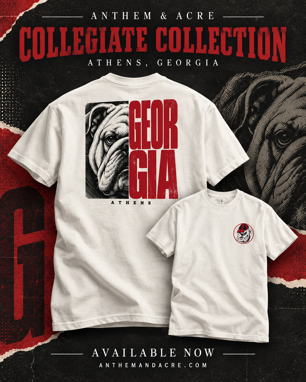 Georgia Bulldog Split vintage football T-shirt by Anthem & Acre
