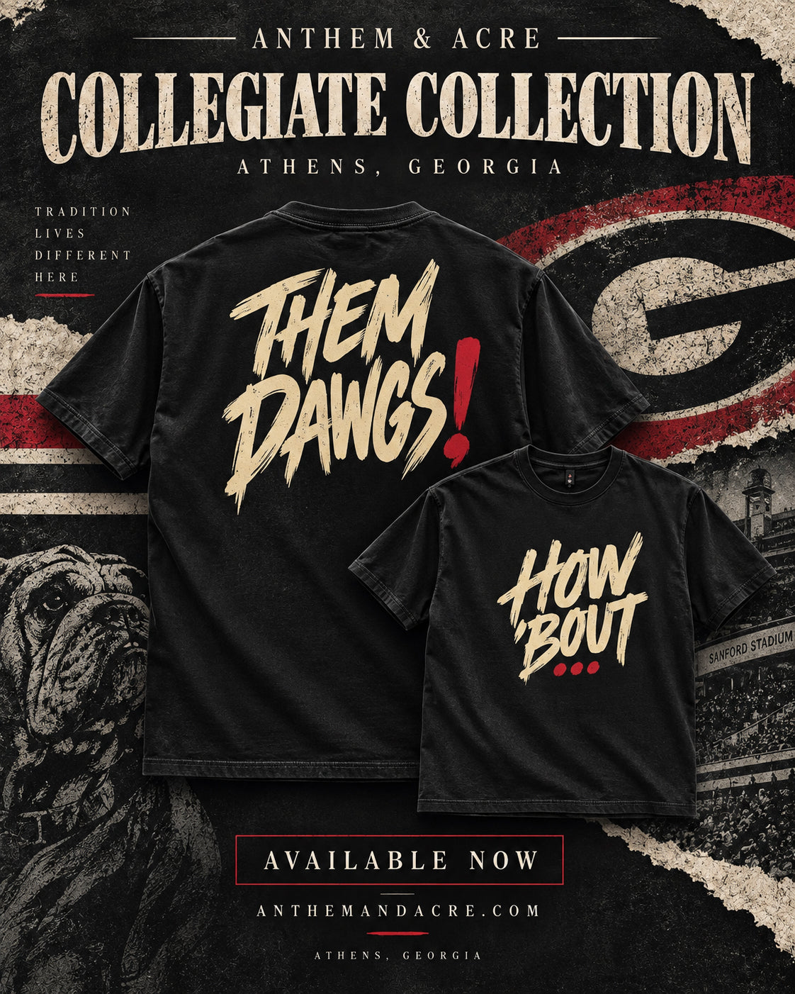 How Bout Them Dawgs Georgia game-day T-shirt by Anthem & Acre
