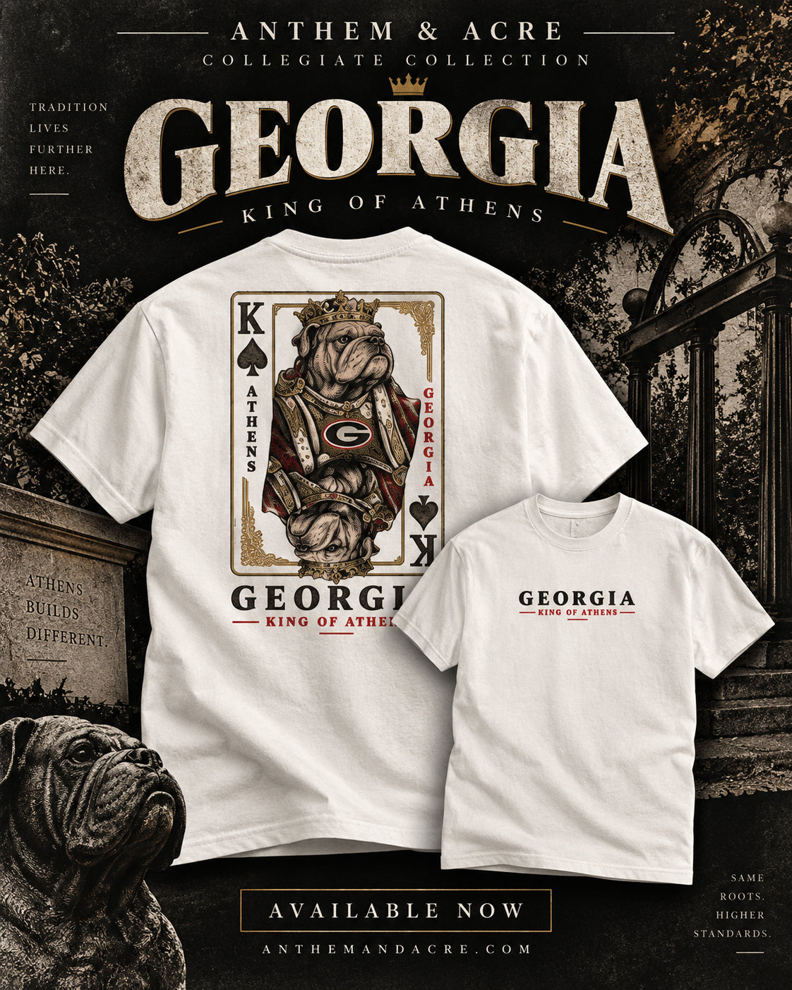King of Athens vintage Georgia football T-shirt by Anthem & Acre

