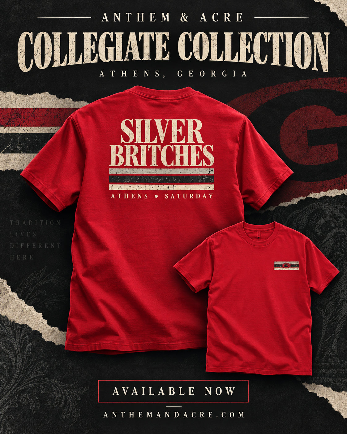 Silver Britches Athens Georgia vintage T-shirt by Anthem & Acre
